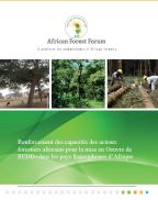 Strengthening capacity among African forestry stakeholders for implementing REDD+ in Francophone Africa