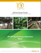 AFF 10th Year Anniversary Celebrations Report