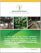 La filière bois en côte d’Ivoire: productions primaire et secondaire, relation entre les acteurs, tendance future et contribution à l’économie nationale et aux moyens de subsistance des populations