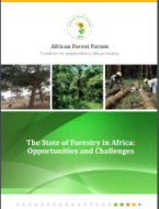 The State of Forestry in Africa: Opportunities and Challenges