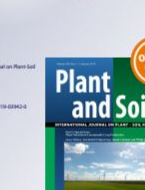 Shifting cultivation maintains but its conversion to mono-cropping decreases soil carbon and nitrogen stocks compared to natural forest in Western Ethiopia