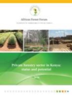 Private forestry sector in Kenya: status and potential