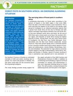 Forest pests in southern Africa: an emerging alarming situation