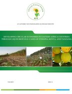 Developing circular economy in  Eastern Africa through liquid  biofuels: cases of Ethiopia, Kenya  and Tanzania