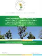 Forestry and Resilience to Climate Change: A Synthesis on Application of Forest-Based Adaptation Strategies to Reduce Vulnerability Among Communities in Sub-Saharan Africa