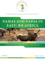 NAMAs and NAPAs in Eastern Africa. Working Paper Vol. 2 (20).