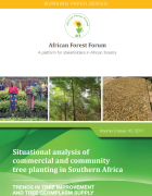 Situational analysis of commercial and community tree planting in Southern Africa