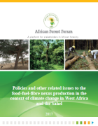 Policies and other related issues to the food-fuel fibre nexus production in the context of climate change in West Africa and the Sahel