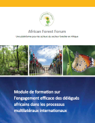 Training module on effective engagement of African delegates in international multilateral processes.