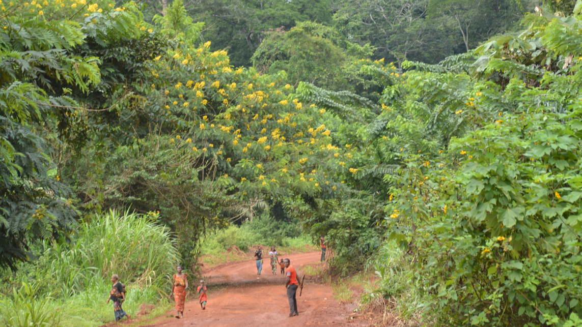 SPIN Africa Webinar Series – Webinar II