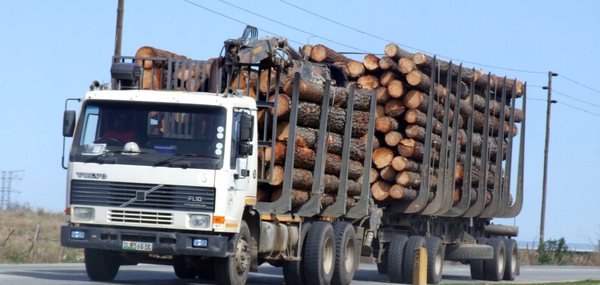 https://afforum.org/publications/boosting-intra-african-timber-trade