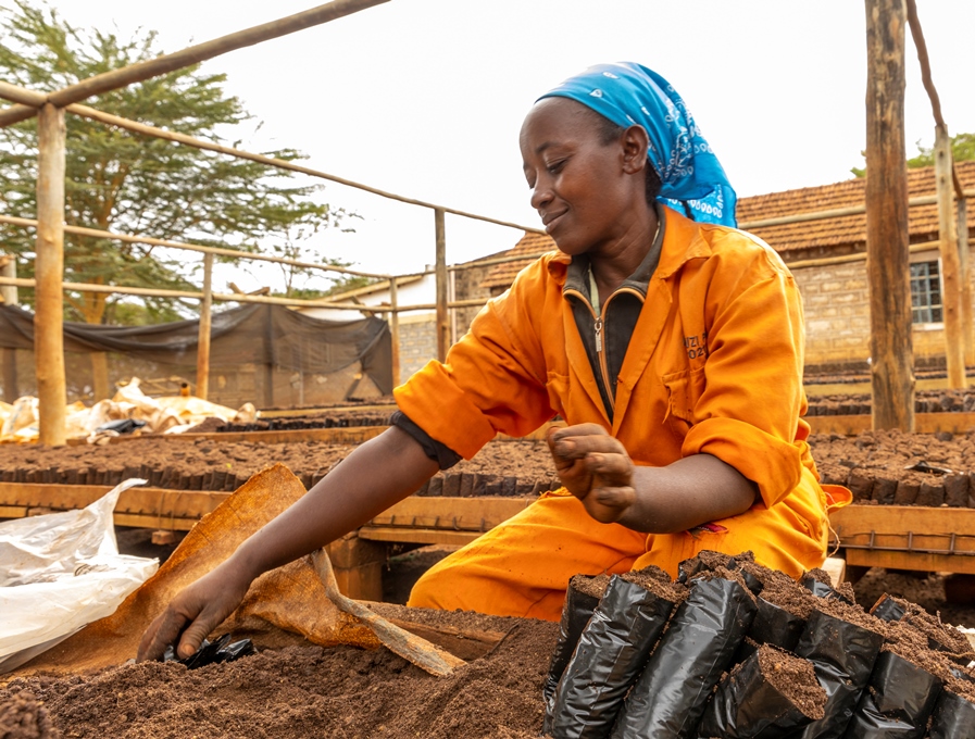 A worker at Kakuzi Plc in Makuyu, Murang’a County in Kenya