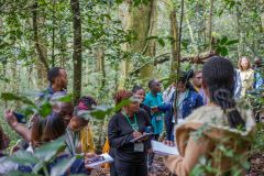 Young people on a guided tour of Ngangao forest, located in Taita Hills in Kenya.