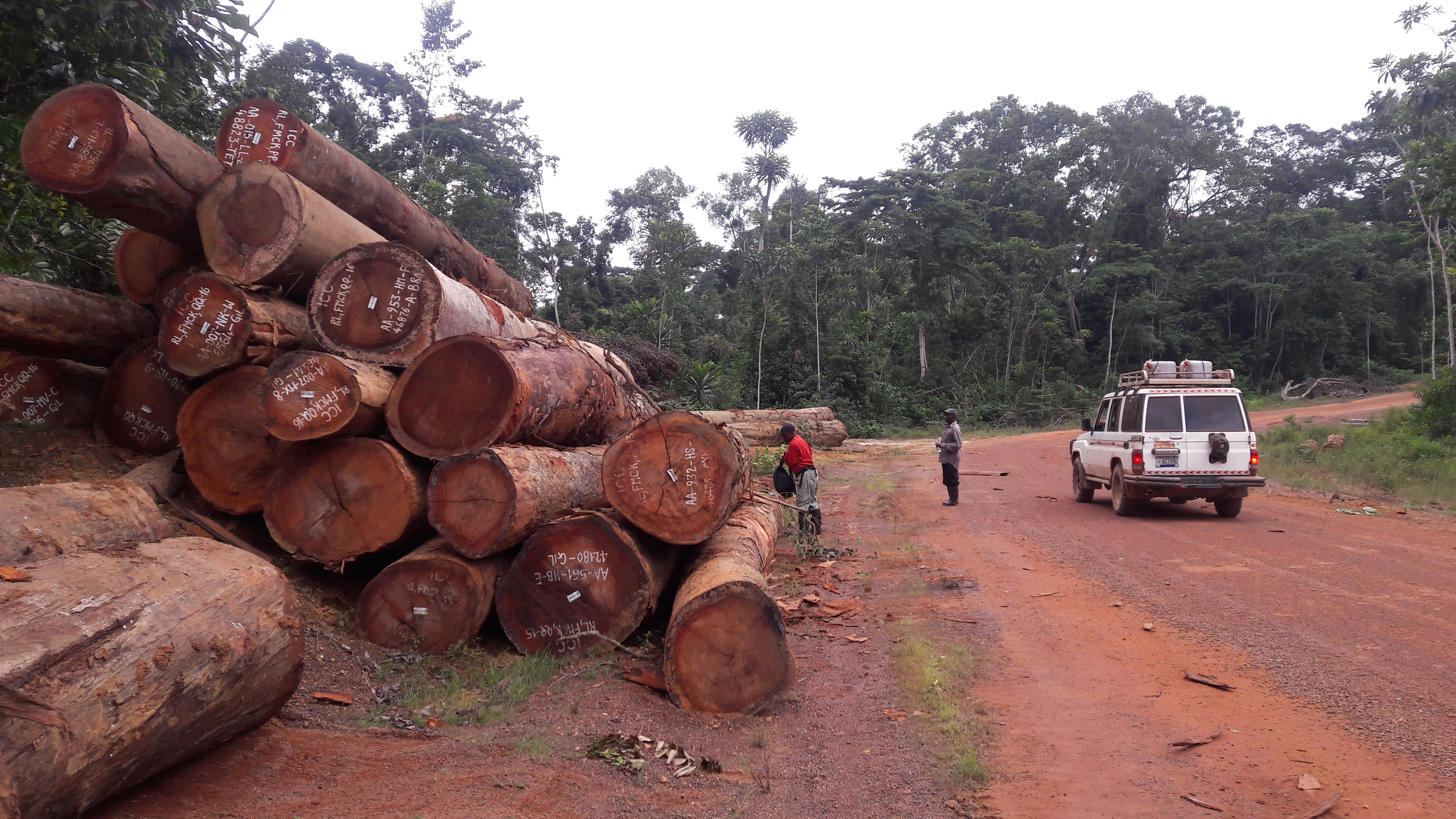 Services de consultance: Évaluation des chaînes de valeur du bois de scierie  en République Centrafricaine – African Forest Forum
