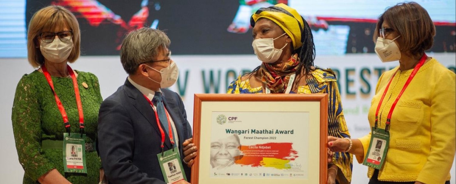 Cécile Ndjebet, wins 2022 Wangari Maathai Champions of Forests Award