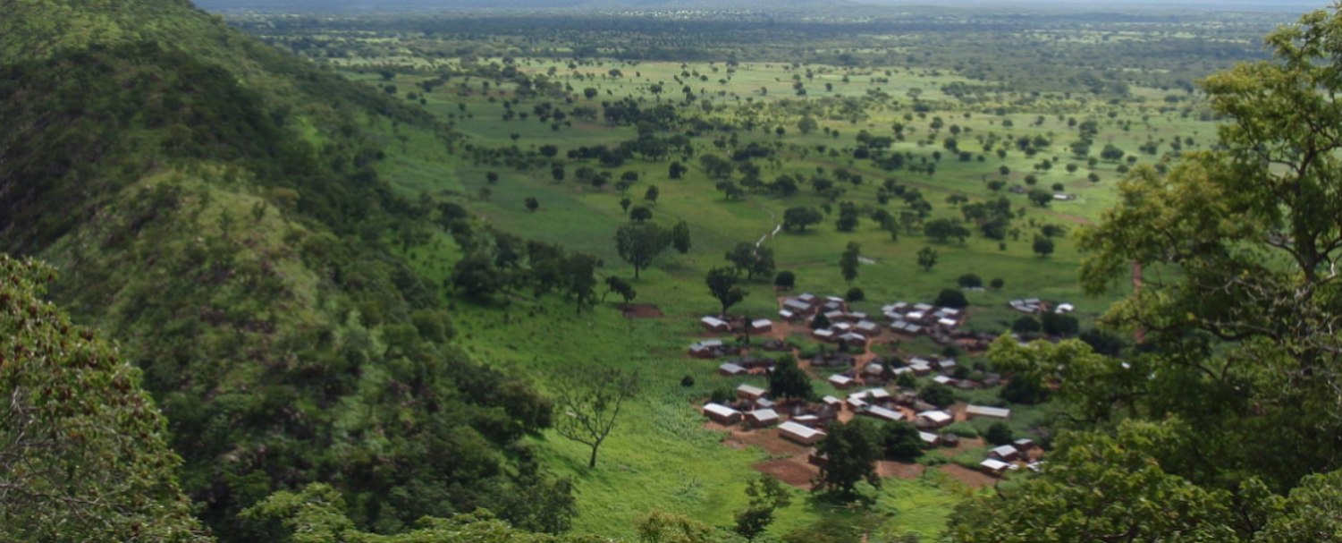 Community of Practice:  REDD+ and best practices integrating forests and tree-based mitigation and adaptation in response to climate change in Africa
