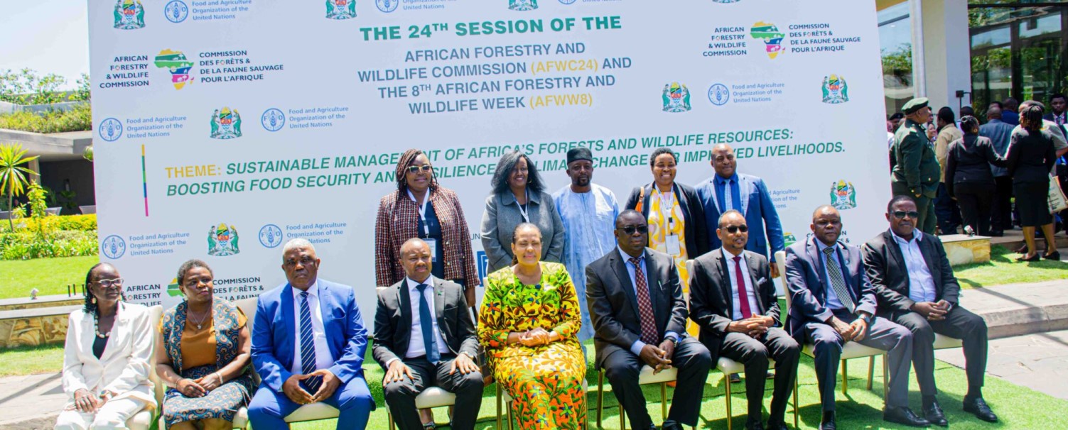 Key messages delivered to AFWC24 on Results Based Finance, social inclusion and benefits sharing mechanisms in African countries’ REDD+ process