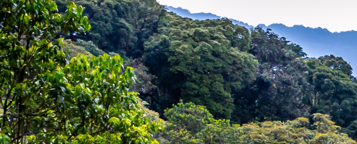 Join the AFF-UN-REDD Community of Practice on unlocking African REDD+ finance