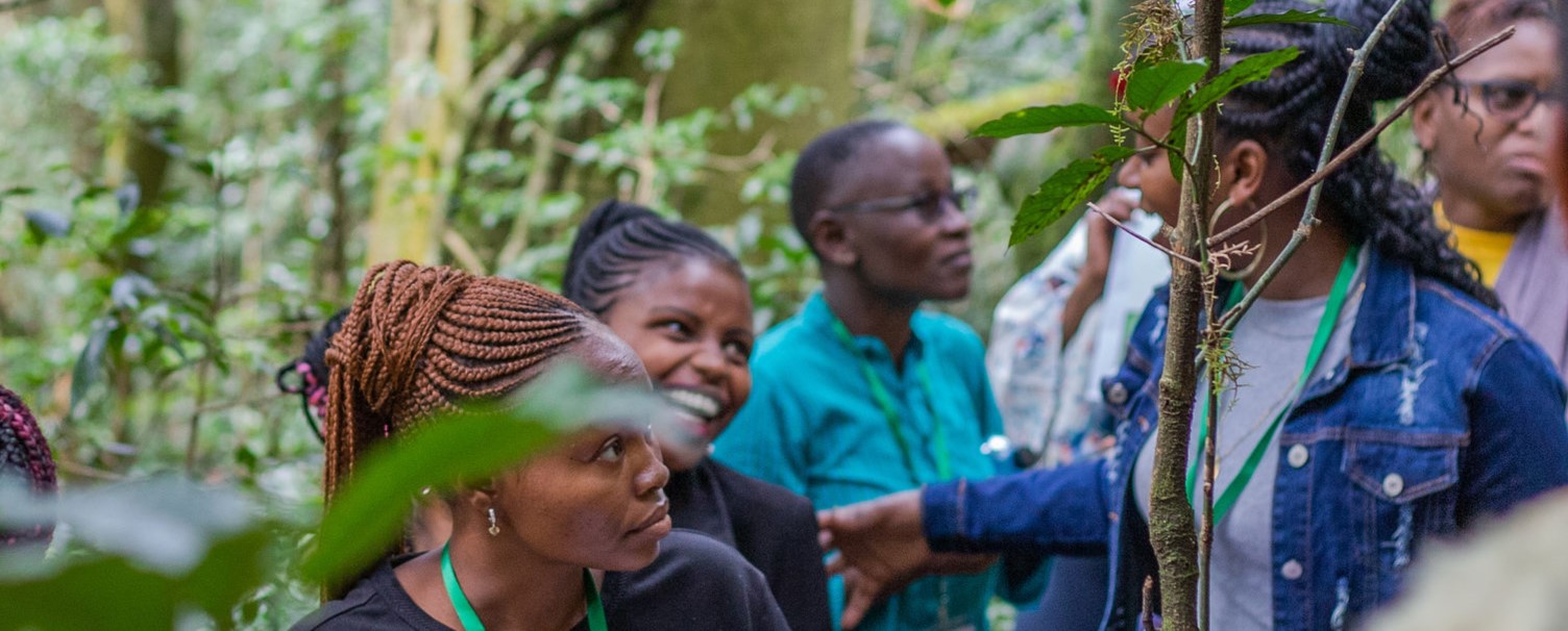 Call for Applications: Youth Advisory Council Members for the AfricanYouth4Forests Project