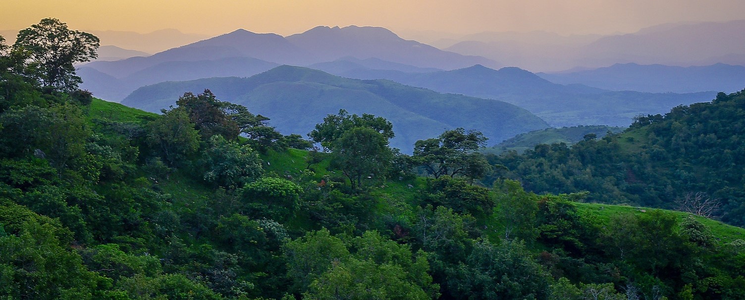 Appel à modérateur en ligne : Communauté de pratique sur les défis et les opportunités pour la jeunesse africaine dans le secteur forestier ( Afrique de l'Ouest, Centrale et du Nord )