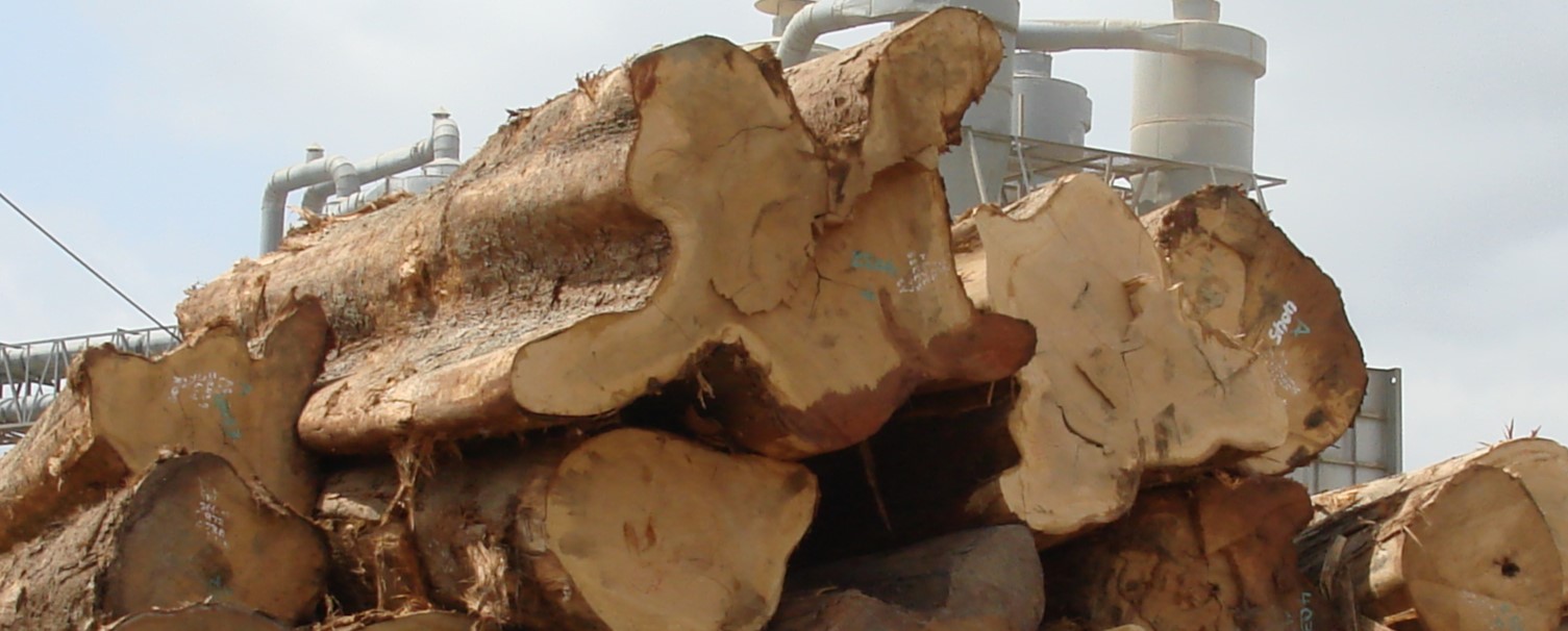 Call for consultancy services: Assessment of key sustainability determinants for existing tree-based energy options from biomass procurement, processing to consumption